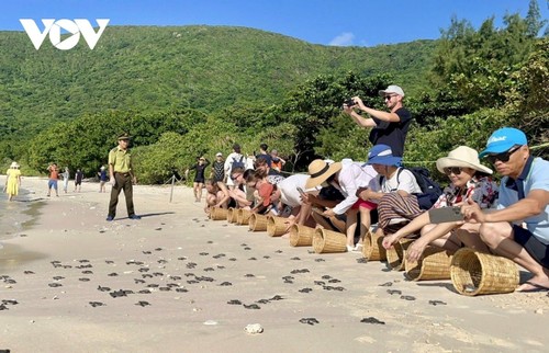Con Dao embraces circular economy to protect nature, drive sustainable tourism  - ảnh 2