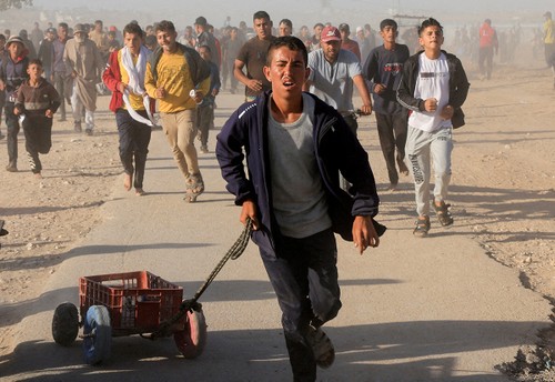 Humanitarian aid falls short of Gazans' urgent needs - ảnh 1