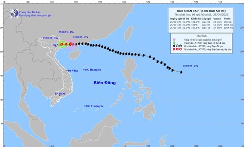 Widespread downpours in northern Vietnam in the wake of typhoon Ragasa - ảnh 1