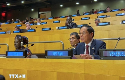 Vietnam puts forth 3 proposals on delivering SDG finance commitments - ảnh 1