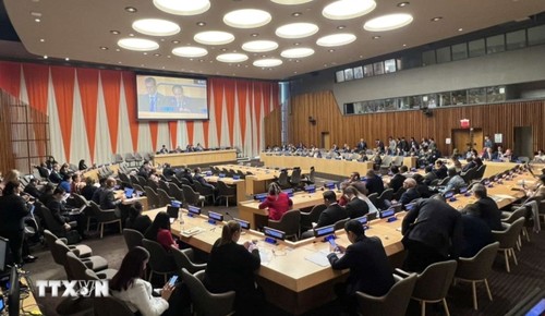 Vietnam puts forth 3 proposals on delivering SDG finance commitments - ảnh 2