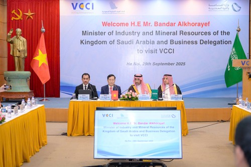 Saudi Arabia, Vietnam step up industrial and mining cooperation - ảnh 2