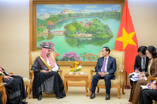 Saudi Arabia, Vietnam step up industrial and mining cooperation - ảnh 1