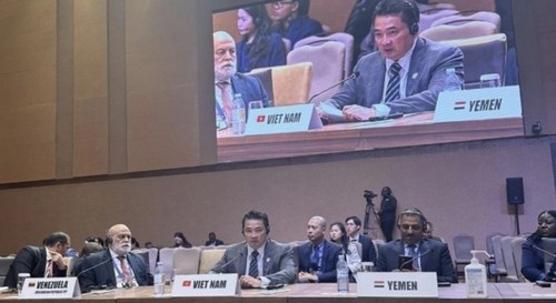 Vietnam calls on NAM’s greater role for peace, cooperation and development - ảnh 1