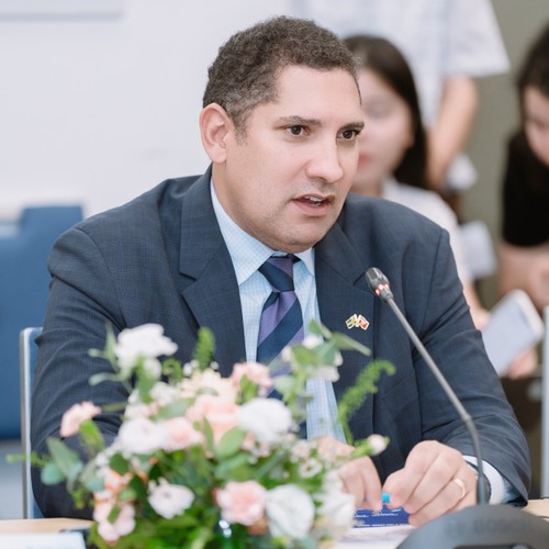 Vietnam, Sweden deepen cooperation in AI, digital innovation - ảnh 1