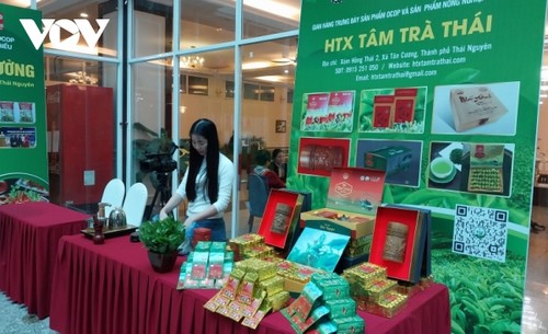 Thai Nguyen aims for a 1 billion USD tea industry by 2030 - ảnh 2