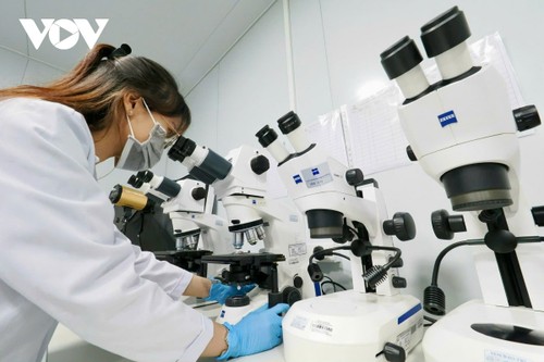 HCMC revs up its role as economic locomotive for 2026 breakthrough - ảnh 5