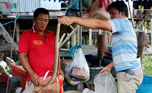 Sản vật mùa nước nổi đồng bằng sông Cửu Long - ảnh 12