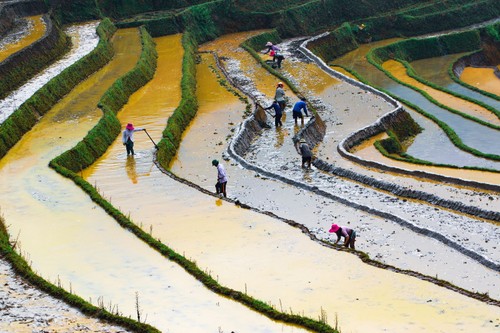 Tây Bắc mùa nước đổ - ảnh 1
