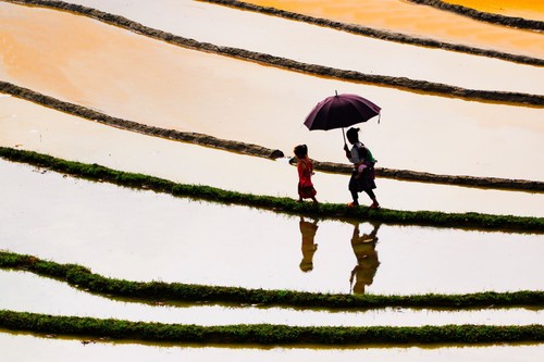 Tây Bắc mùa nước đổ - ảnh 2