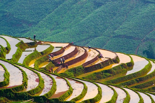 Tây Bắc mùa nước đổ - ảnh 3