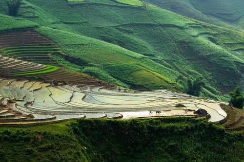 Tây Bắc mùa nước đổ - ảnh 5