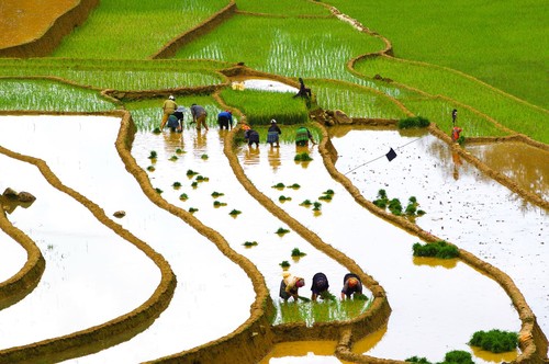 Tây Bắc mùa nước đổ - ảnh 6