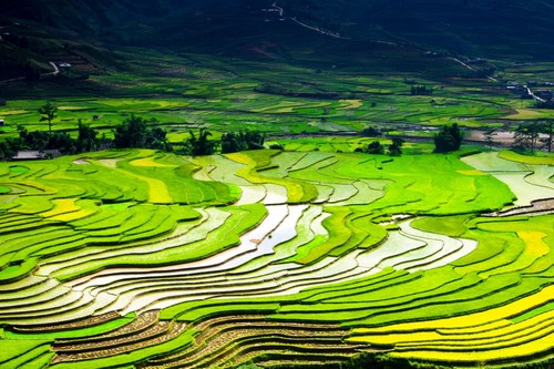 Tây Bắc mùa nước đổ - ảnh 12