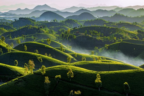 10 bức ảnh đạt giải cuộc thi 'Việt Nam nhìn từ trên cao' 2019