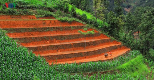 Mù Cang Chải - một trong những điểm đến đẹp nhất thế giới - ảnh 4
