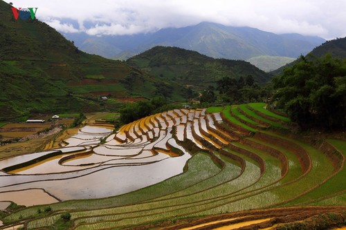 Mù Cang Chải - một trong những điểm đến đẹp nhất thế giới - ảnh 7