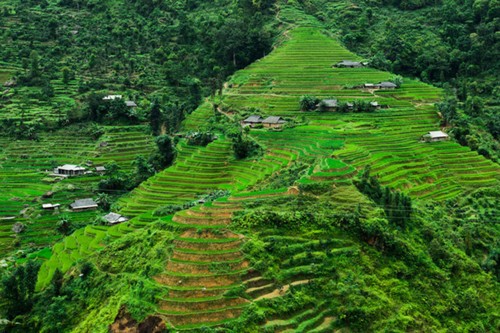 Beauty of Vietnam as seen through the lens of a French photographer - ảnh 10