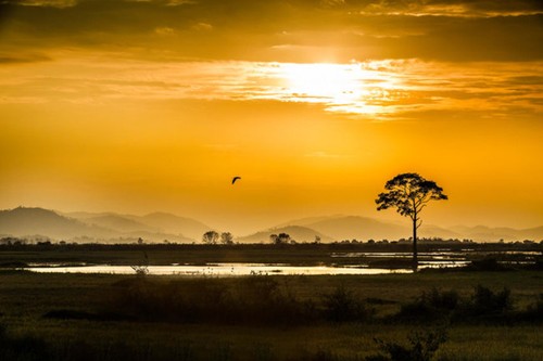 Beauty of Vietnam as seen through the lens of a French photographer - ảnh 3