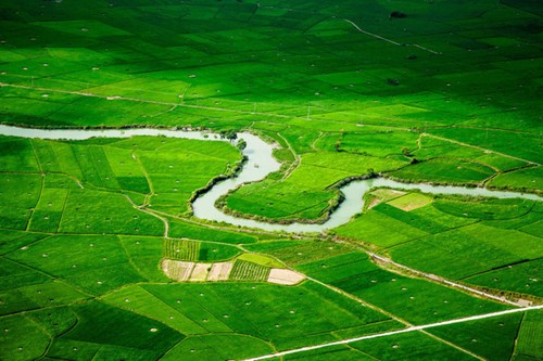 Beauty of Vietnam as seen through the lens of a French photographer - ảnh 6