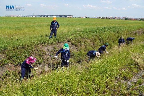 Chùm ảnh: Nhân viên sân bay Nội Bài đẫm mồ hôi làm việc giữa nắng thiêu đốt - ảnh 11