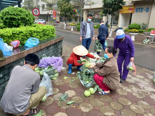 Người Hà Nội chung tay giải cứu nông sản Hải Dương - ảnh 5