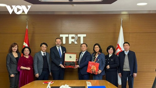 VOV và Đài phát thanh truyền hình Thổ Nhĩ Kỳ đẩy mạnh hợp tác về công nghệ và đào tạo - ảnh 3