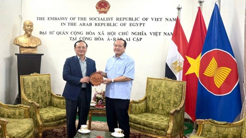 VOV đẩy mạnh truyền thông ngoại giao đến Hy Lạp và Ai Cập - ảnh 5