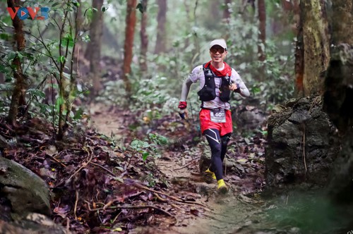 “Cúc Phương Jungle Paths năm 2025” chuyến phiêu lưu kỳ thú qua lõi rừng nguyên sinh - ảnh 8