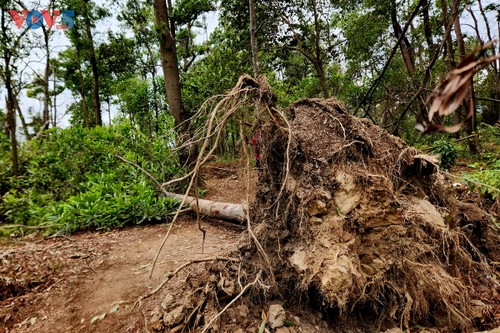 “Cúc Phương Jungle Paths năm 2025” chuyến phiêu lưu kỳ thú qua lõi rừng nguyên sinh - ảnh 7