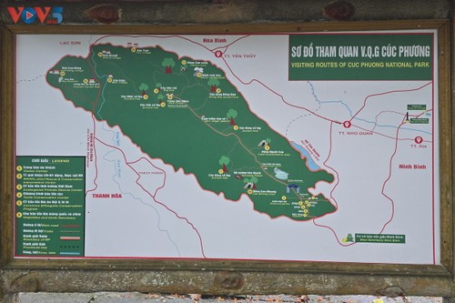 “Cúc Phương Jungle Paths năm 2025” chuyến phiêu lưu kỳ thú qua lõi rừng nguyên sinh - ảnh 2