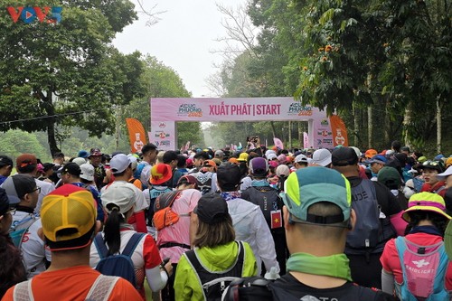 “Cúc Phương Jungle Paths năm 2025” chuyến phiêu lưu kỳ thú qua lõi rừng nguyên sinh - ảnh 1