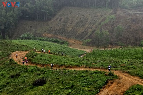 “Cúc Phương Jungle Paths năm 2025” chuyến phiêu lưu kỳ thú qua lõi rừng nguyên sinh - ảnh 3