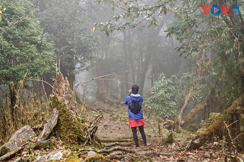 Thiên đường mây Tà Xùa - điểm đến toàn cầu 2026 - ảnh 10