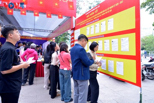 Người dân Hà Nội phấn khởi thực hiện quyền công dân trong ngày bầu cử - ảnh 6