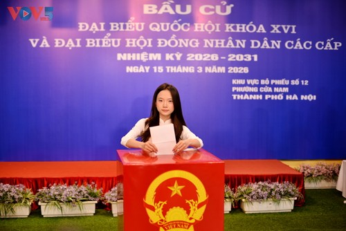 Người dân Hà Nội phấn khởi thực hiện quyền công dân trong ngày bầu cử - ảnh 10