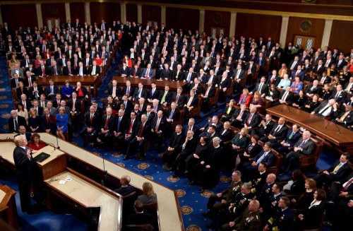 Trump appelle à l’unité dans son discours sur l’état de l’Union - ảnh 1