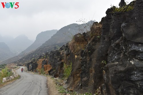 Le plateau karstique de Dông Van à Hà Giang - ảnh 1