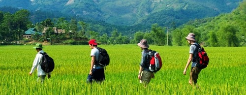 Des «chefs d’orchestre» du tourisme - ảnh 3