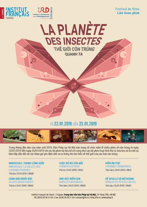 La planète des insectes projetée sur le grand écran - ảnh 2