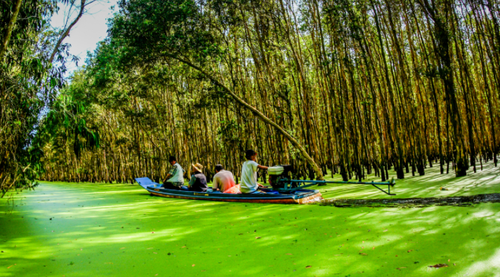 La province d’An Giang accueille 200.000 touristes étrangers en janvier - ảnh 1