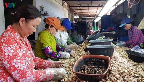 Phuoc Cat est désormais dans le sens de la marche - ảnh 1