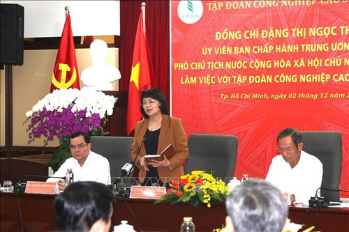 Dang Thi Ngoc Thinh rencontre la direction du groupe du caoutchouc du Vietnam  - ảnh 1