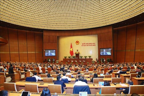 Assemblée nationale: journée du 30 mars - ảnh 1