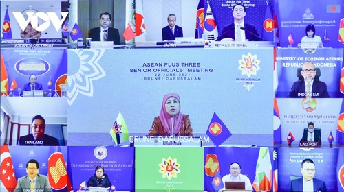 ASEAN+3 s’applique à assurer l’accès équitable aux vaccins anti-Covid-19 - ảnh 1