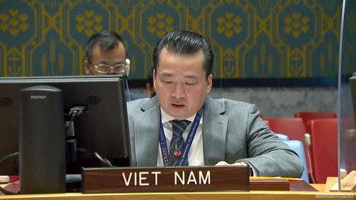 Le Vietnam salue les évolutions positives en Somalie - ảnh 1