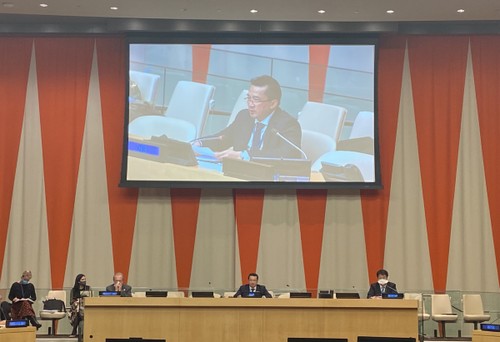 Dernière réunion présidée par le Vietnam au sein du Conseil de sécurité de l’ONU - ảnh 1