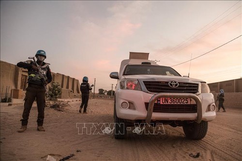 Un Casque bleu de l’ONU gravement blessé dans une attaque au Mali - ảnh 1