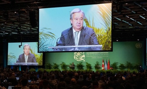 Cop15: quels sont les enjeux de la Conférence de l’ONU sur la biodiversité à Montréal? - ảnh 1