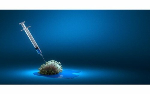 6 chủng virus Covid-19 và triệu chứng bệnh tương ứng - ảnh 7